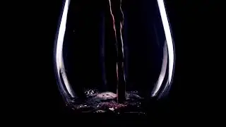 Ido B Zooki & COCO - Tipsy I עידו בי וצוקי & קוקו - טיפסי