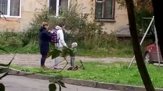 Petrozavodsk 2016