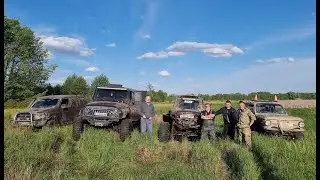 Дельфин доминирует и глохнет, незабываемый 