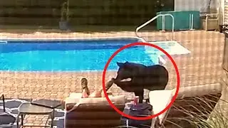 KAMERA TA'SVIRGA OLMAGANIDA SIZ BUNGA ISHONMAGAN BO'LARDINGIZ(QIZIQARLI VIDEO SIZ UCHUN)