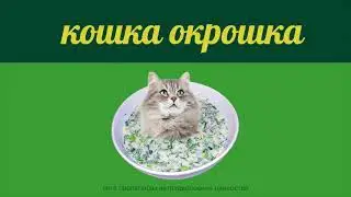 КОШКА - ОКРОШКА (ОРИГИНАЛ) / KOSHKA - OKROSHKA