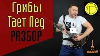 Как играть Грибы - Тает Лёд на гитаре Разбор Аккорды для начинающих|Грибы Тает Лед