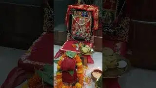 #shorts#youtubeshorts #jaimatadi #first day of navratre