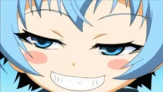 Criminal Lawyer Cirno