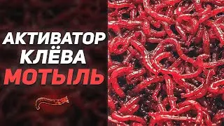 СУХОЙ АКТИВАТОР КЛЁВА из МОТЫЛЯ | Рецепты Для Рыбалки