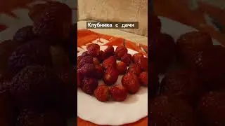 клубнику собрали когда с такого ливня