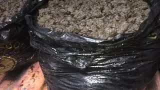 Нанес Покровный Грунт. Спустя 14 дней после Инкубации.