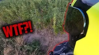 ZNALAZŁEM POLE MARIHUAEN?! | MotoVlog 2