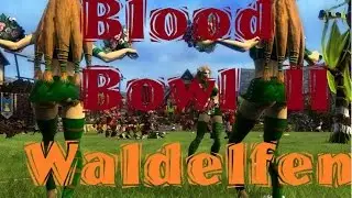 Blood Bowl 2 - Waldelfen Guide / Woodelves Guide - Part # 01