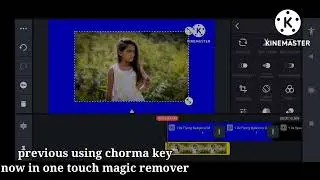 Remove image and video background in one touch