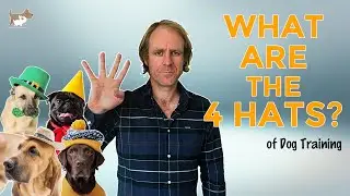 Perfect your leadership role with your dog - with the 4 hats!