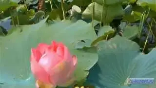Геленджик экскурсии на отдыхе