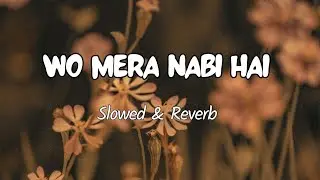 Wo Mera Nabi Ha | Slowed & Reverb