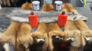 How to Tan Hides (PART 3)