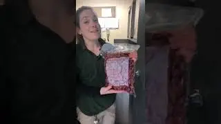 Toronto Zoo Lion Keeper Talk on Facebook LIVE