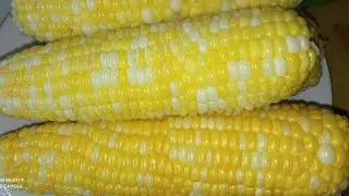 Со звуком! Летние вкусняшки 😋.Что я готовила на этой неделе 😊