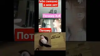 #рек #meme #мемы #рекомендации #мадагаскар #пингвины #кринж