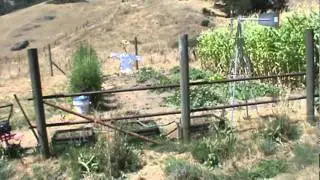 Reclaiming Unused Land to Plant Organic Vegetables