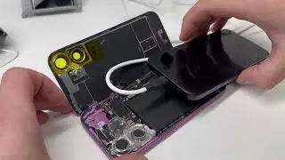 iPhone 16 no network, no modem firmware. No network reception.