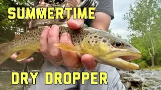 On the Stream: Why is Fishing Dry Dropper so Deadly in the Summer?