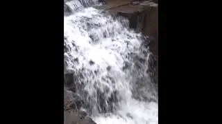 Waterfall illusion