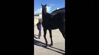 VIDEO3 - S.XX - P1