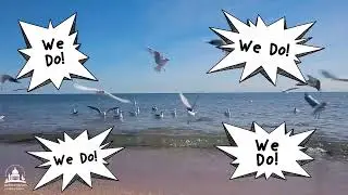 2022 Summer Reading Program Promo