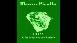 Mauro Picotto - Lizard (Alfonso Muchacho Rework)
