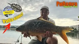 РИБАЛКА НА ФІДЕР ФЛЕТ МЕТОД / Далекий Заброс Дав Результат!
