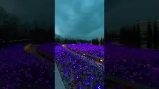 А вечером наступит волшебство! Парк Галицкого в Краснодаре