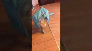 Чемодан с ножками