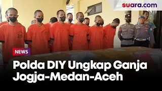 Polda DIY Ungkap Jaringan Narkotika Jenis Ganja Jaringan Yogyakarta-Medan-Aceh