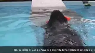 Flo in piscina
