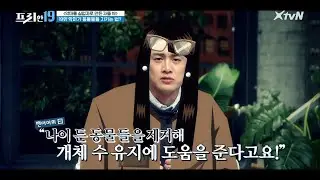 트로피 사냥꾼의 황당무계한 야생 동물 보호방법 [악마를 실업자로 만든 자들 19]#프리한19 | free19 EP.256 | XtvN 210419 방송