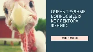 Очень трудные вопросы для коллекторши феникс