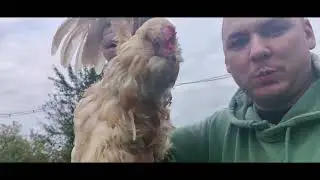 Деревенские будни на Хорошем Хуторе!