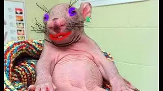 ЖИГУ БИГУ ЛЭ- ДРИФТ СПОРТ ДРУЗЬЯ)