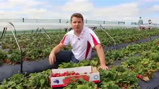 Fruit Picking Tour Perth