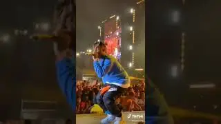 Tyler the creator:Concert Collection