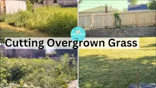 Cutting Overgrown Grass #cuttinggrass