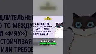 Мяуканье кошки  как понять, что она хочет и как на нее отреагировать