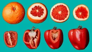 Hidden Patterns Inside Fruits and Vegetables Stop Motion & BTS