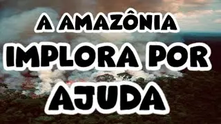 A Amazônia implora por nossa ajuda! Temos que ajudar nosso maior patrimônio 🌍🙏