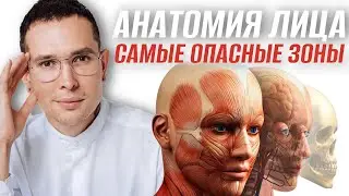 САМЫЕ ОПАСНЫЕ ЗОНЫ НА ЛИЦЕ | полное пособие по анатомии лица 