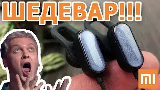 THE EXCELLENT HEADPHONES - Xiaomi Youth Wireless Bluetooth Earphone