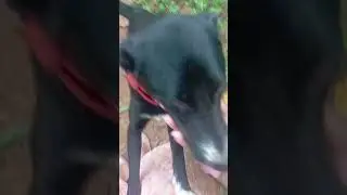 Ang ongkatjokode dake daksimaia biade🤣🤣