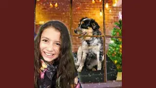 All I Want For Christmas Is A Friend