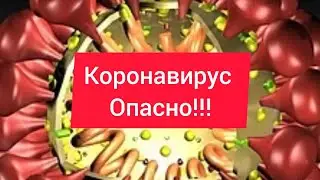 Как умирают от коронавируса в Китае!