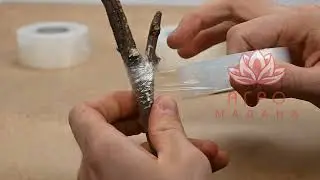 Прививочная лента для растений и плодовых деревьев