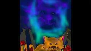 Дух кота. I draw the spirit of a cat, northern lights